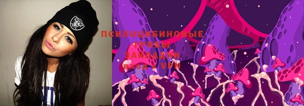 стаф Киренск