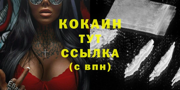 стаф Киренск