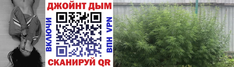 Каннабис Ganja  Купить закладки  Ивантеевка 